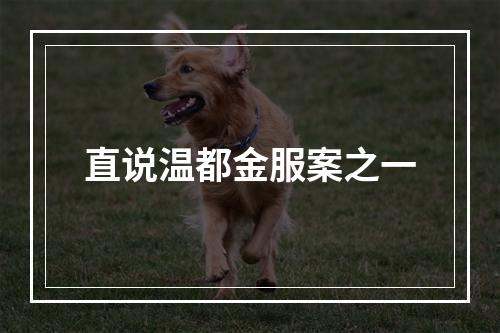 直说温都金服案之一