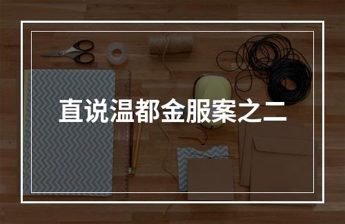 直说温都金服案之二