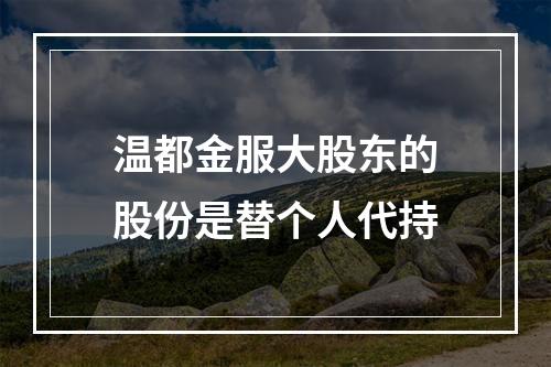 温都金服大股东的股份是替个人代持