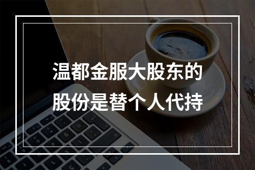 温都金服大股东的股份是替个人代持