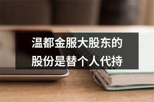 温都金服大股东的股份是替个人代持