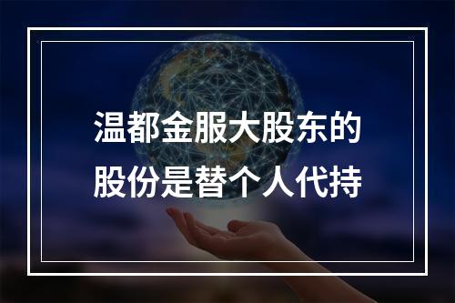 温都金服大股东的股份是替个人代持
