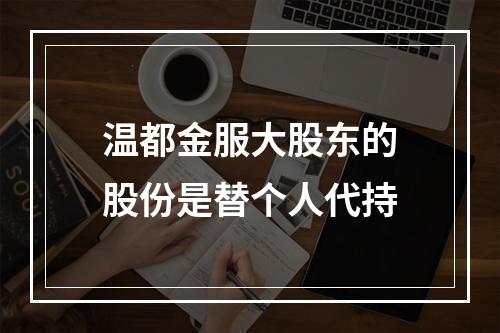温都金服大股东的股份是替个人代持