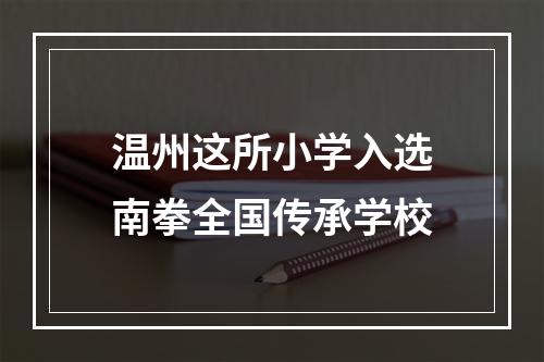 温州这所小学入选南拳全国传承学校