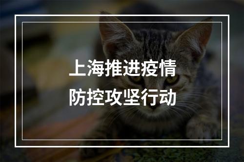上海推进疫情防控攻坚行动