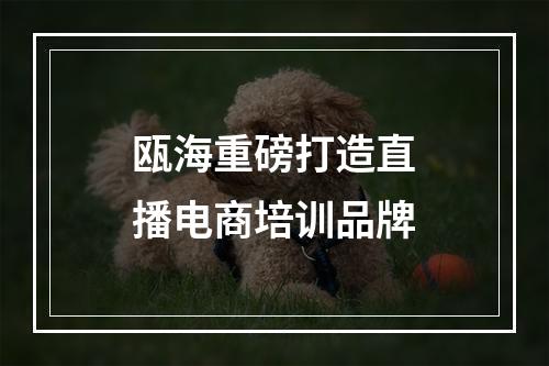 瓯海重磅打造直播电商培训品牌