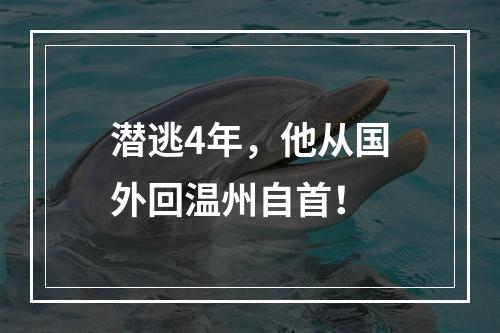 潜逃4年，他从国外回温州自首！