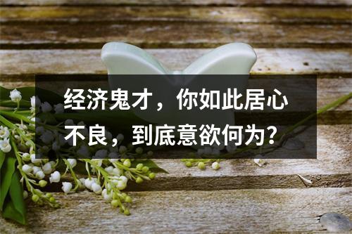 经济鬼才，你如此居心不良，到底意欲何为？