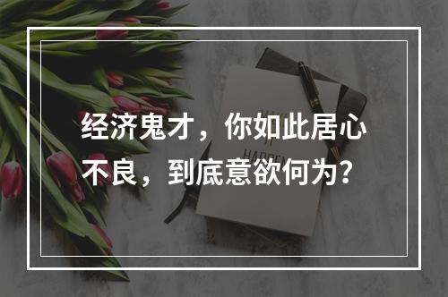 经济鬼才，你如此居心不良，到底意欲何为？