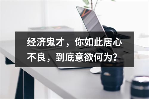 经济鬼才，你如此居心不良，到底意欲何为？