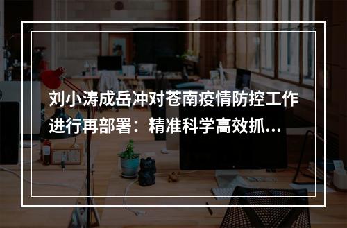 刘小涛成岳冲对苍南疫情防控工作进行再部署：精准科学高效抓好落实