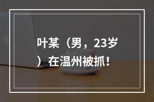 叶某（男，23岁）在温州被抓！