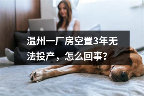 温州一厂房空置3年无法投产，怎么回事？