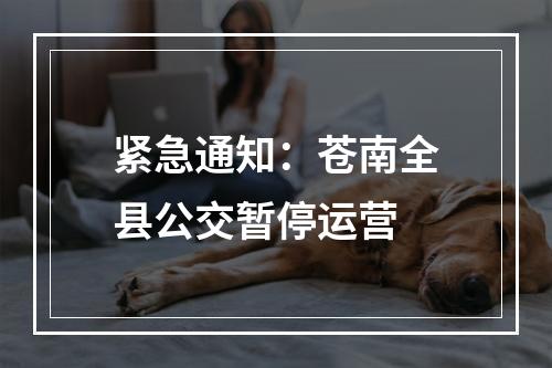 紧急通知：苍南全县公交暂停运营
