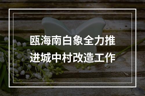 瓯海南白象全力推进城中村改造工作