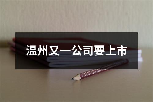 温州又一公司要上市