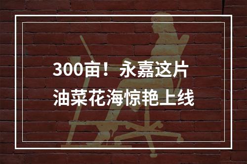 300亩！永嘉这片油菜花海惊艳上线