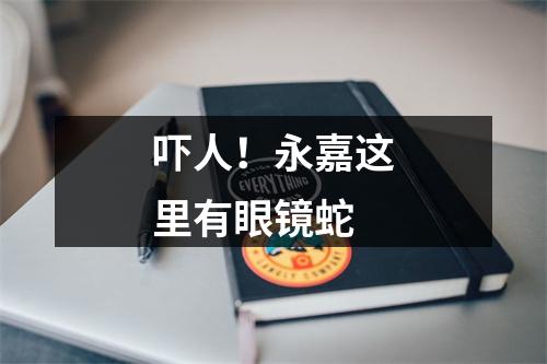 吓人！永嘉这里有眼镜蛇