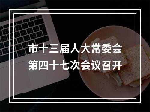 市十三届人大常委会第四十七次会议召开