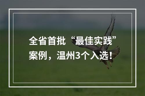 全省首批“最佳实践”案例，温州3个入选！