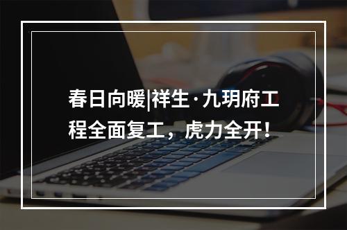 春日向暖|祥生·九玥府工程全面复工，虎力全开！