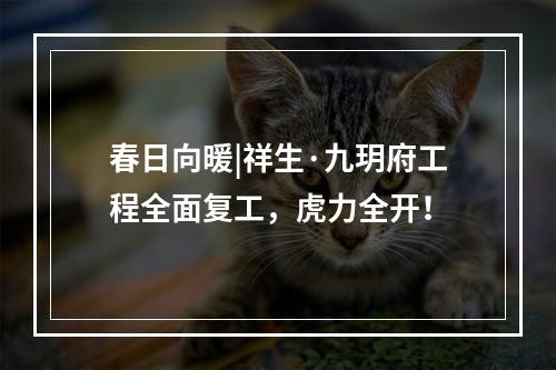 春日向暖|祥生·九玥府工程全面复工，虎力全开！