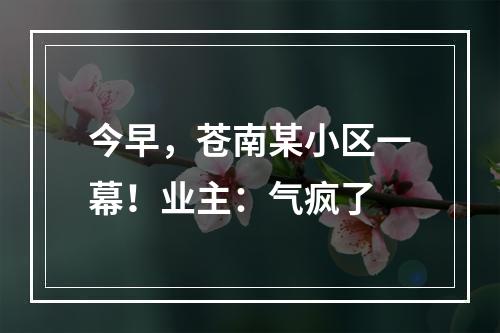 今早，苍南某小区一幕！业主：气疯了