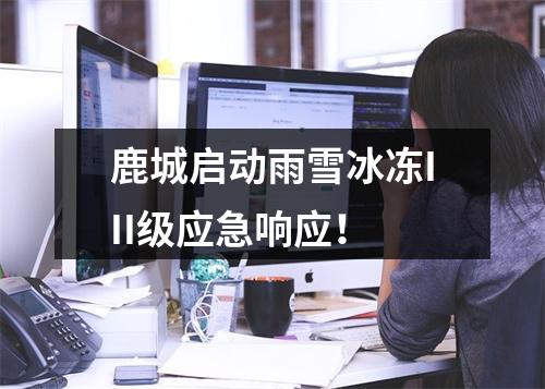 鹿城启动雨雪冰冻III级应急响应！