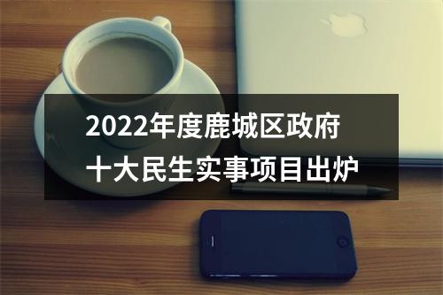 2022年度鹿城区政府十大民生实事项目出炉