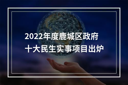 2022年度鹿城区政府十大民生实事项目出炉