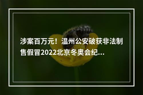 涉案百万元！温州公安破获非法制售假冒2022北京冬奥会纪念章案