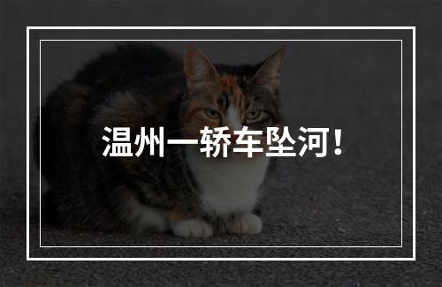 温州一轿车坠河！