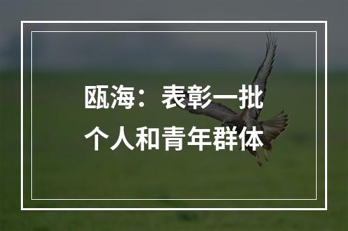 瓯海：表彰一批个人和青年群体