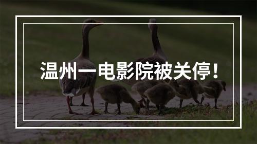 温州一电影院被关停！