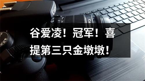 谷爱凌！冠军！喜提第三只金墩墩！