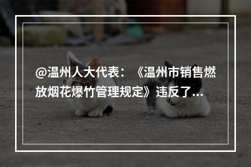@温州人大代表：《温州市销售燃放烟花爆竹管理规定》违反了《宪法》第四条