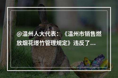 @温州人大代表：《温州市销售燃放烟花爆竹管理规定》违反了《宪法》第四条