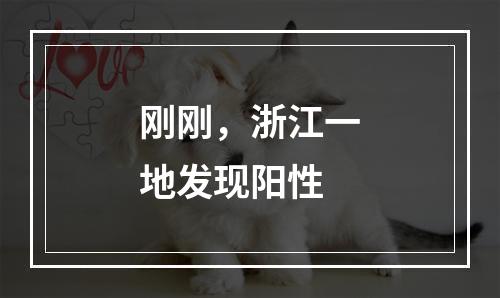 刚刚，浙江一地发现阳性