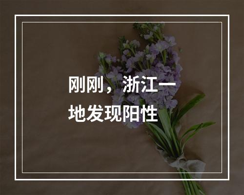 刚刚，浙江一地发现阳性