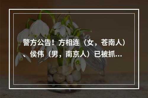 警方公告！方相连（女，苍南人）、侯伟（男，南京人）已被抓获