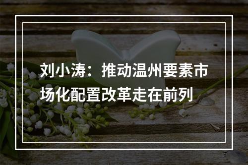 刘小涛：推动温州要素市场化配置改革走在前列