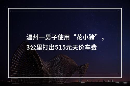 温州一男子使用“花小猪”，3公里打出515元天价车费