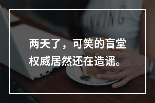 两天了，可笑的盲堂权威居然还在造谣。