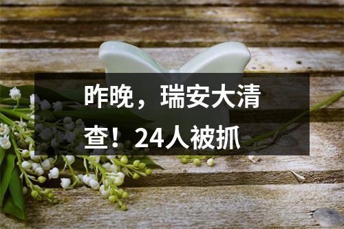 昨晚，瑞安大清查！24人被抓