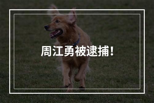 周江勇被逮捕！