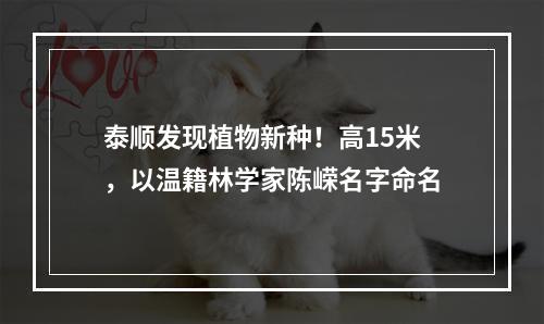 泰顺发现植物新种！高15米，以温籍林学家陈嵘名字命名