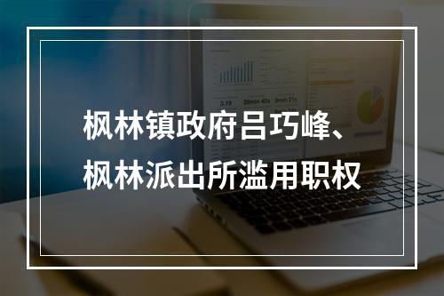 枫林镇政府吕巧峰、枫林派出所滥用职权