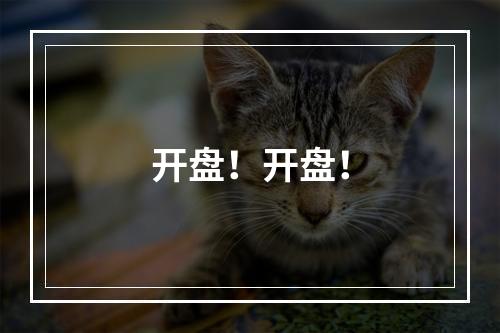 开盘！开盘！
