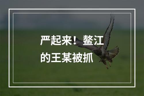 严起来！鳌江的王某被抓