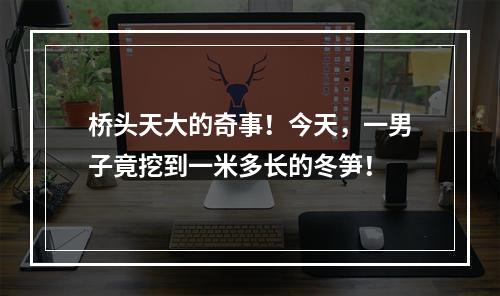 桥头天大的奇事！今天，一男子竟挖到一米多长的冬笋！